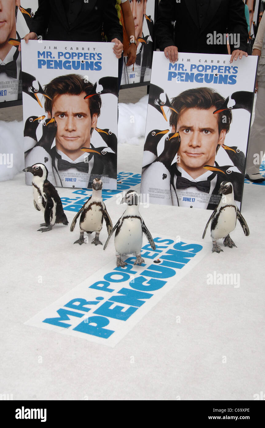 Penguins at arrivals for Mr. Popper's Penguins Premiere, Grauman's Chinese Theatre, Los Angeles, CA June 12, 2011. Photo By: Michael Germana/Everett Collection Stock Photo