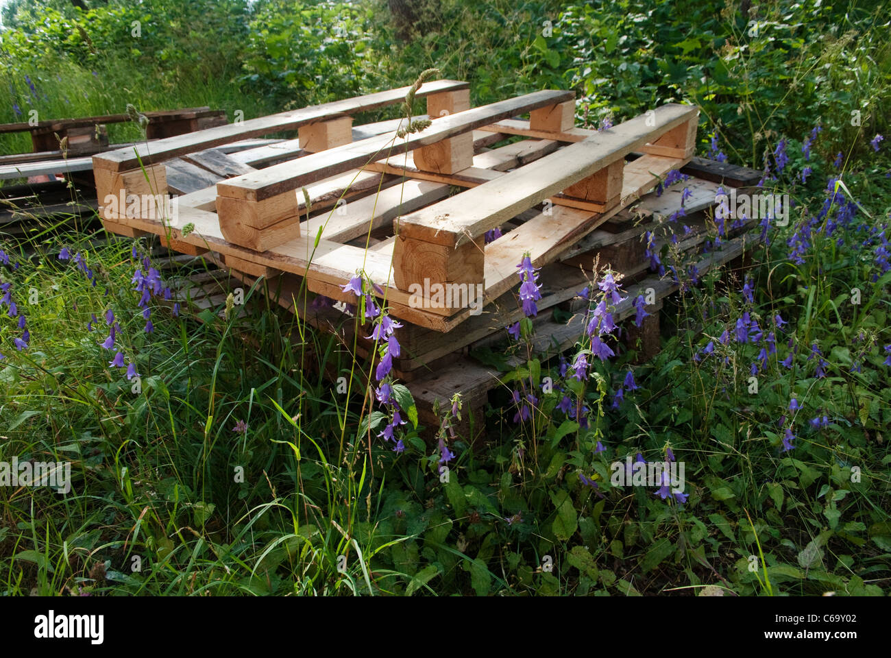 Old pallets in long grass with summer flowers Skeppsholmen Island