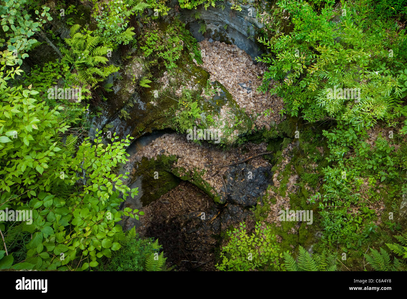 Archbald Pothole, world's largest glacial pothole, near Scranton