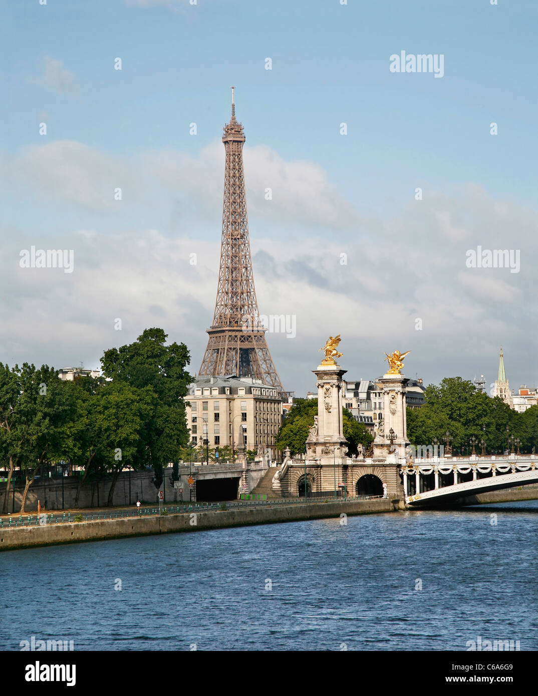 Paris - Eiffel tower and Alexandre III bridge Stock Photo