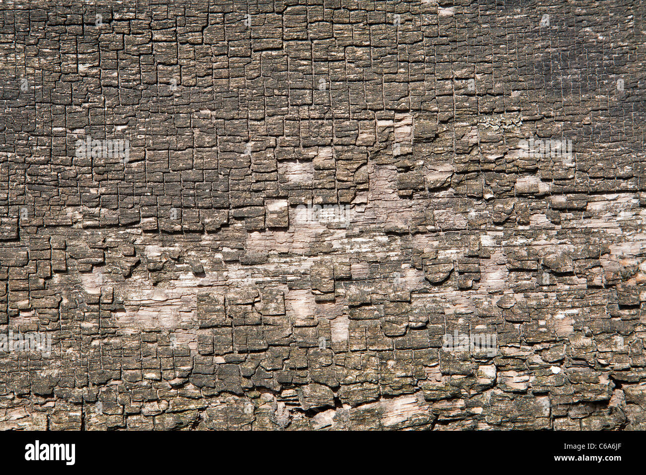 old wood background Stock Photo