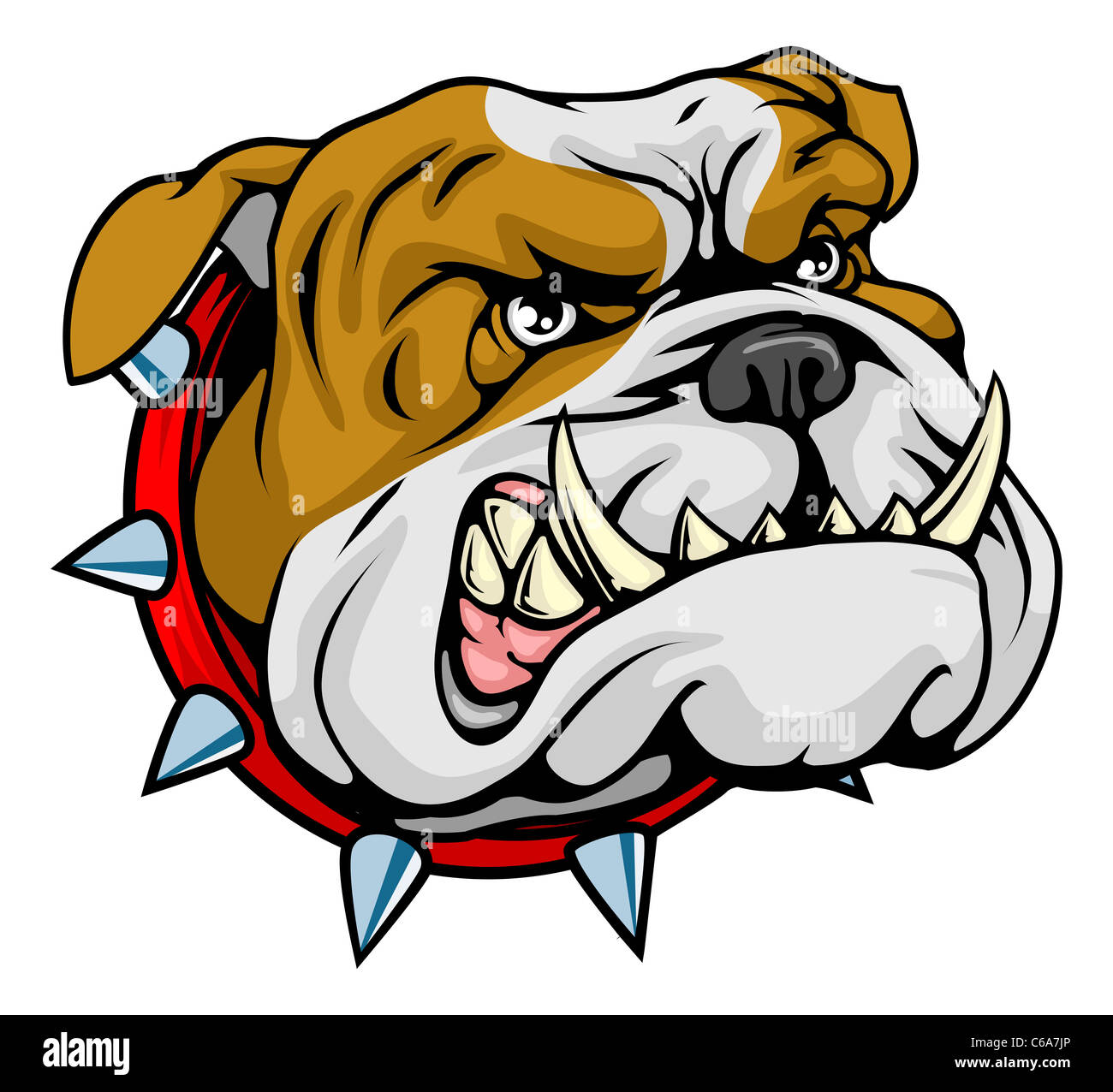 Mean looking illustration of classic British bulldog face Stock Photo