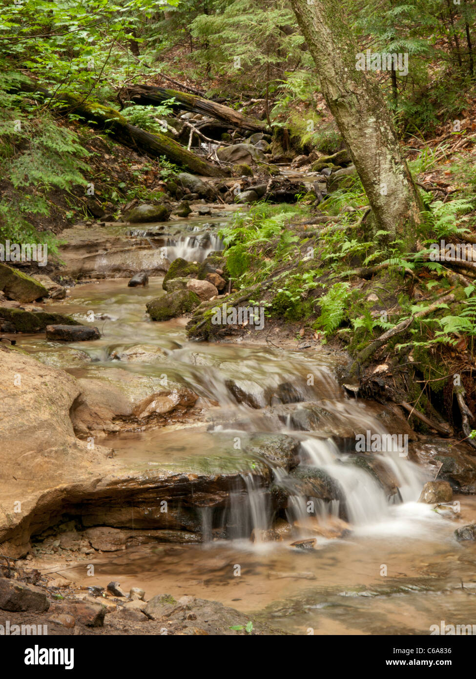 Wagner Falls near Munising in Michigan's upper peninsula. The river is ...