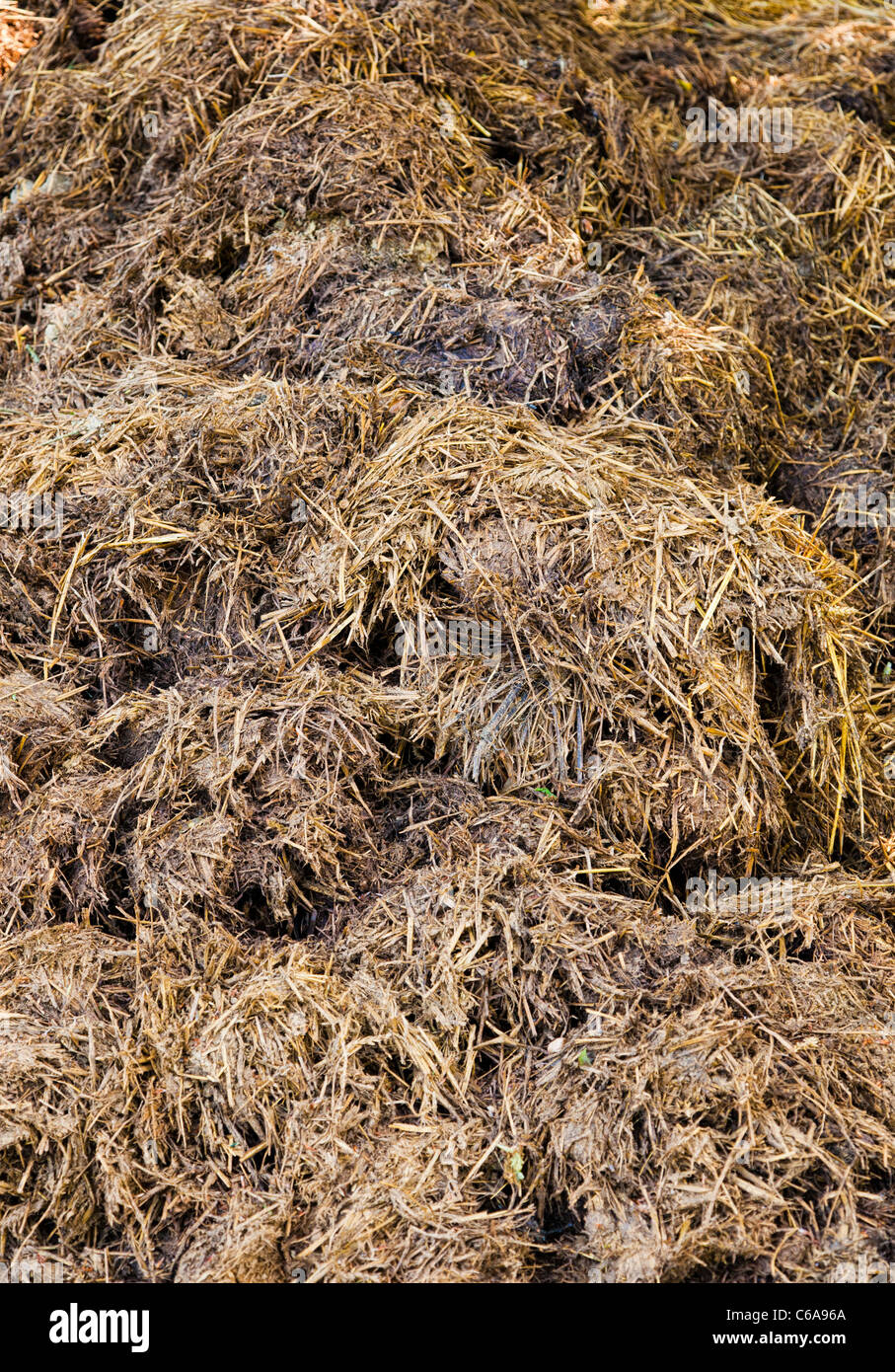 Pile of manure Stock Photo
