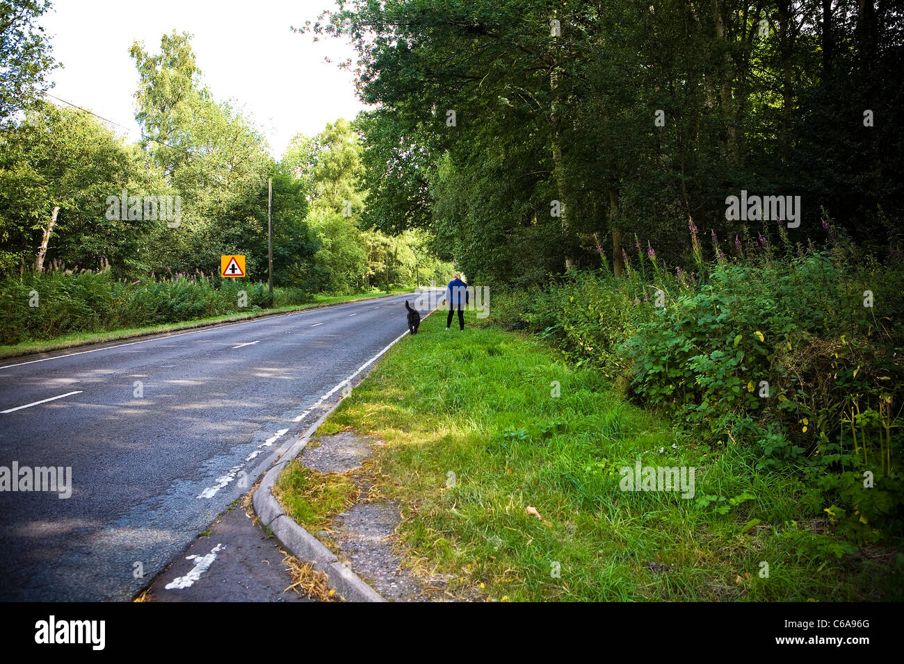 Woman and her black dog walking along the side of a road in a forest Stock Photo