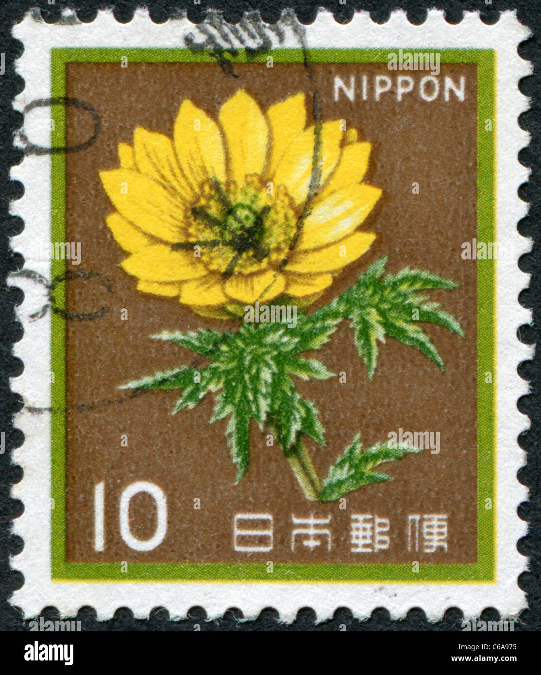 JAPAN - 1982: A stamp printed in Japan, depicts a flower Adonis (Adonis amurensis) Stock Photo