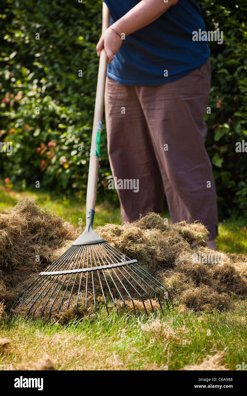 Woman raking grass cuttings MR Stock Photo Alamy