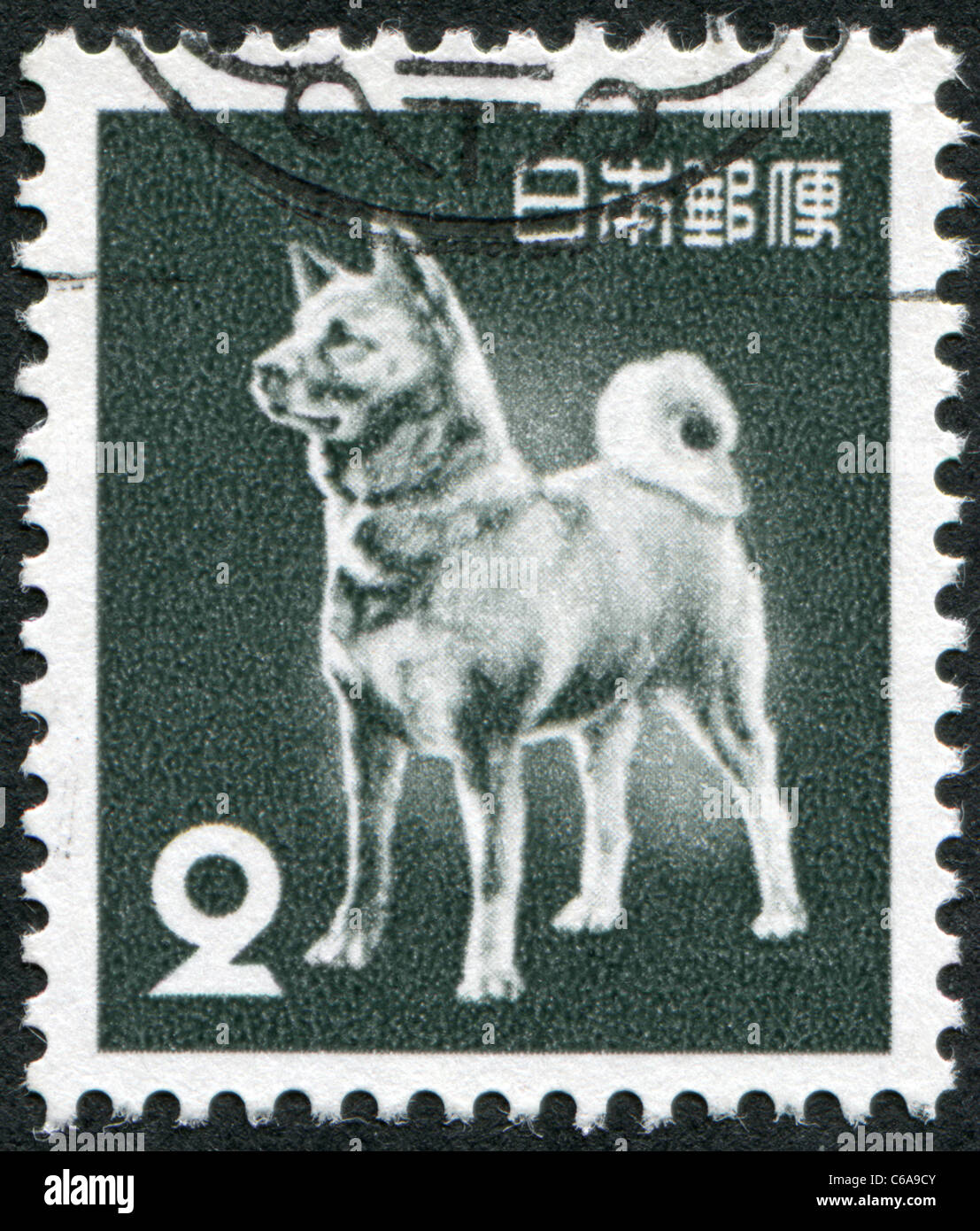 JAPAN - 1953: A stamp printed in Japan, depicts a dog breed Akita Inu ...