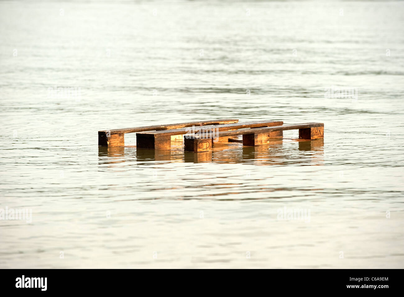 Pallet floating on water Stock Photo Alamy