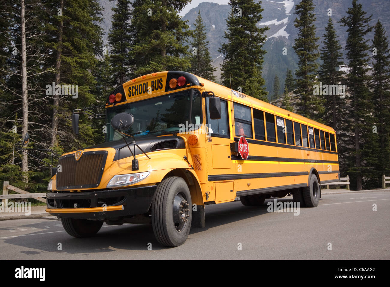 Iconic American School Bus Stock Photo