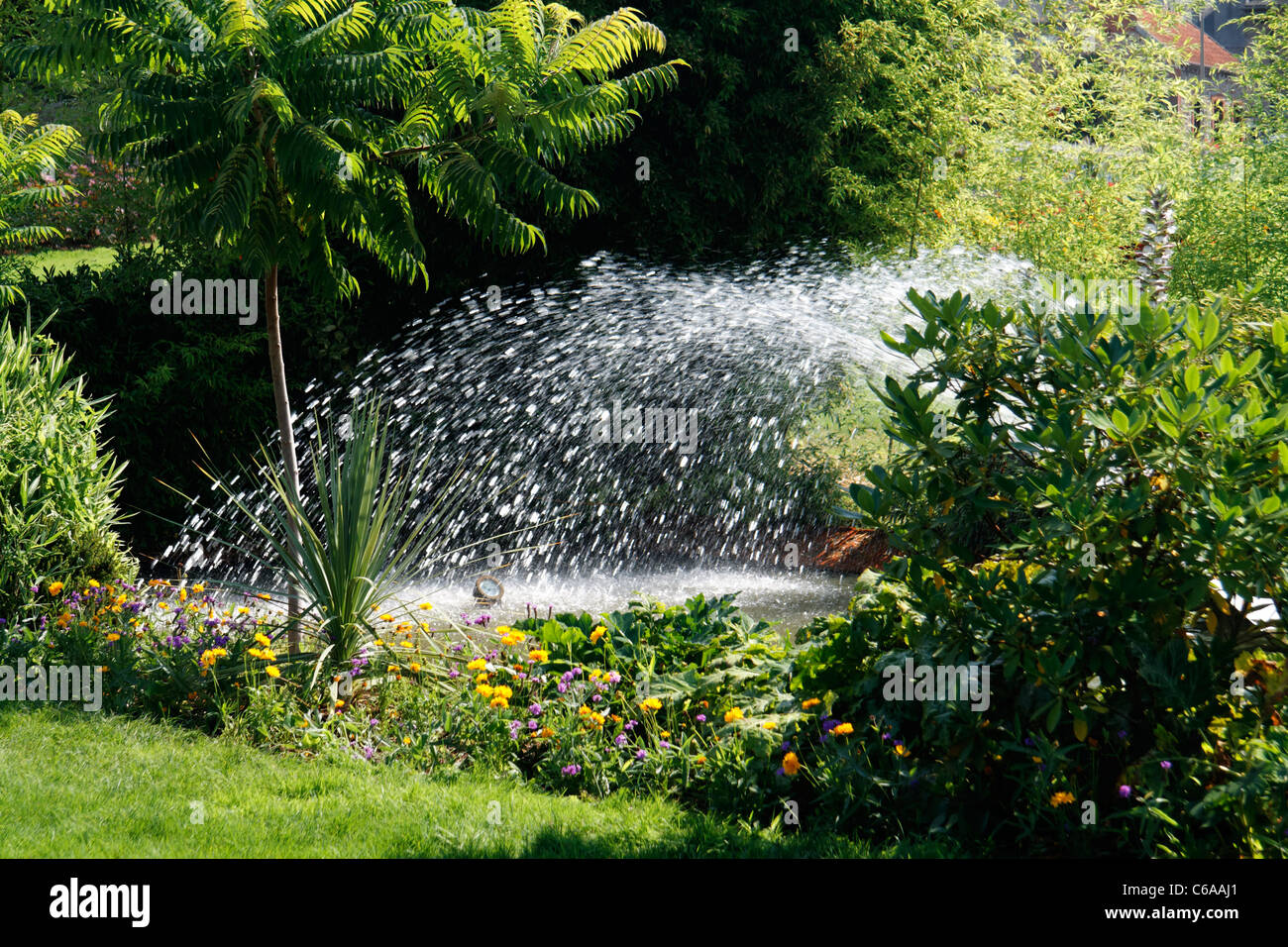 Water jet in a garden pond, park, castle of Montgommery in Ducey (Manche, Normandy, France). Stock Photo