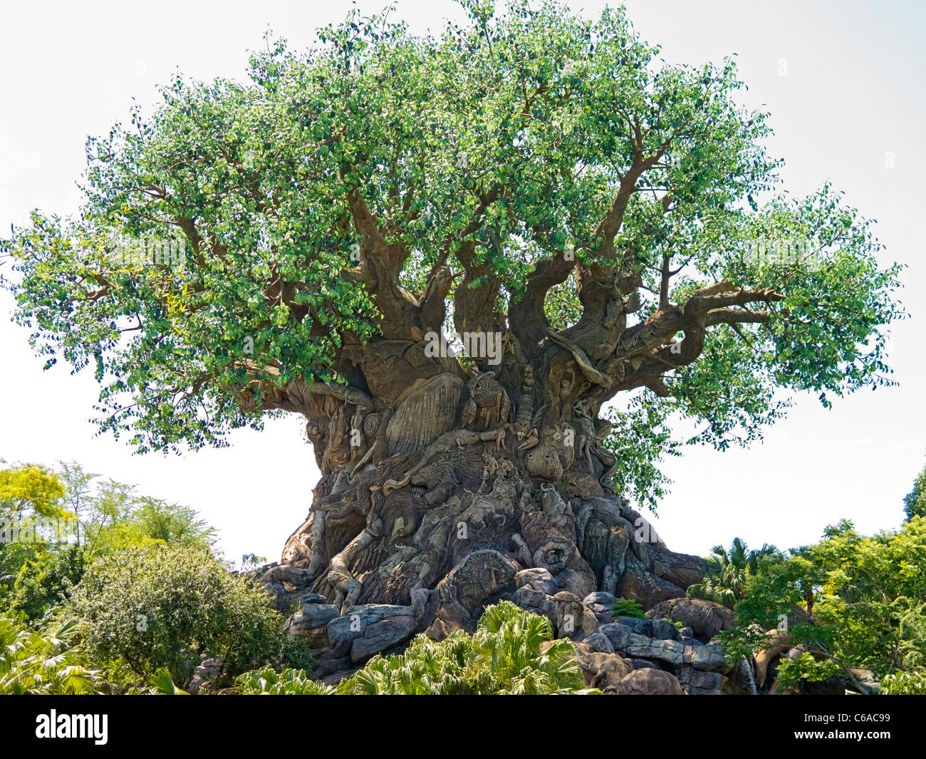 Tree of life disney hi-res stock photography and images - Alamy