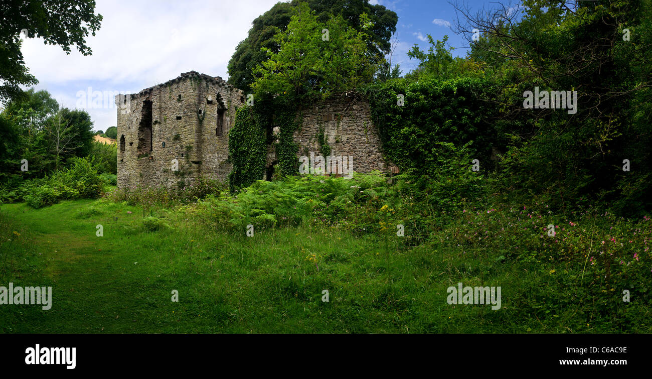 A panoramic image of the remains ruins of Candlestone Castle in Merthyr Mawr in Wales Stock Photo