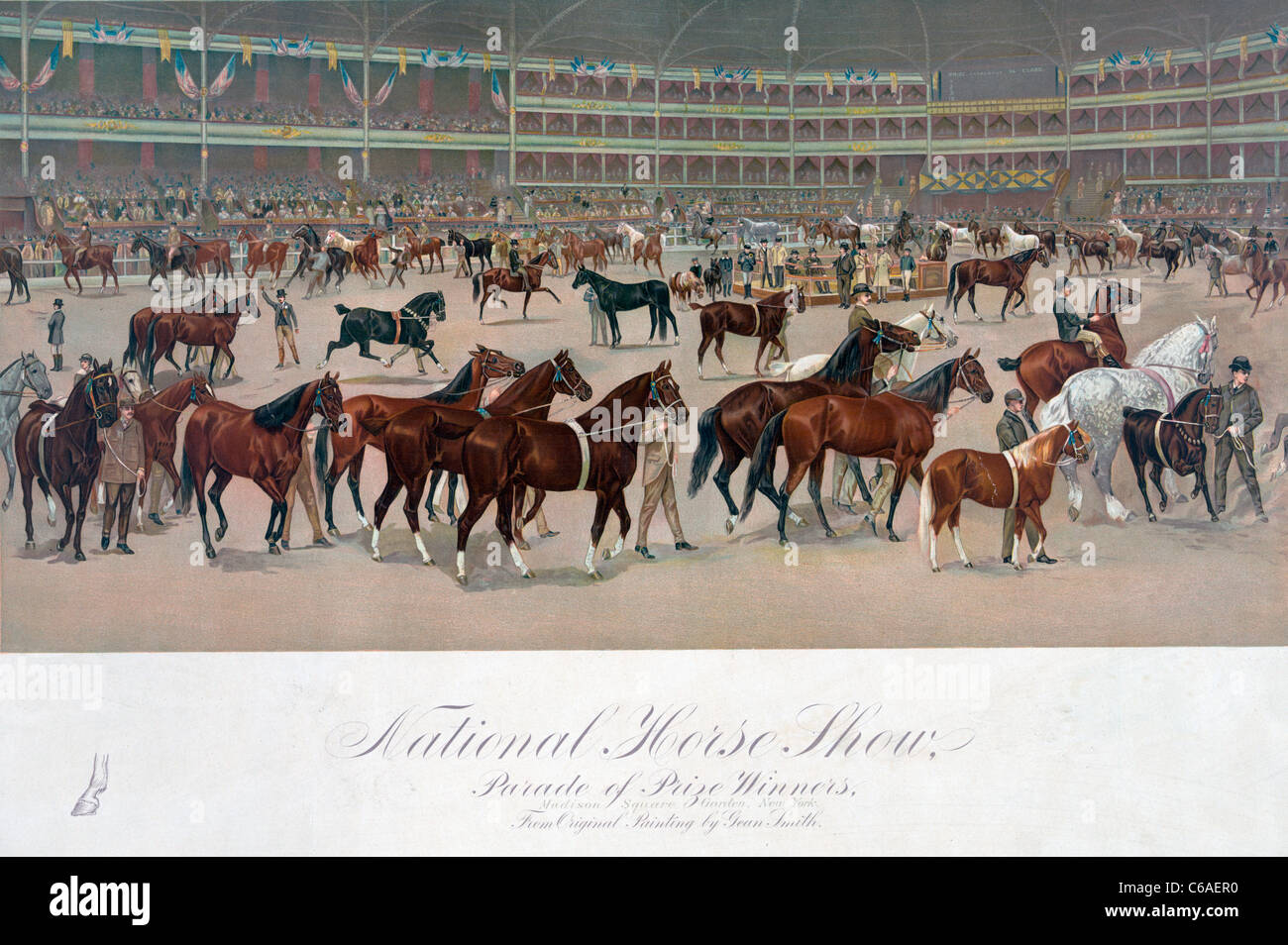National horse show, parade of prize winners, 1896 Stock Photo