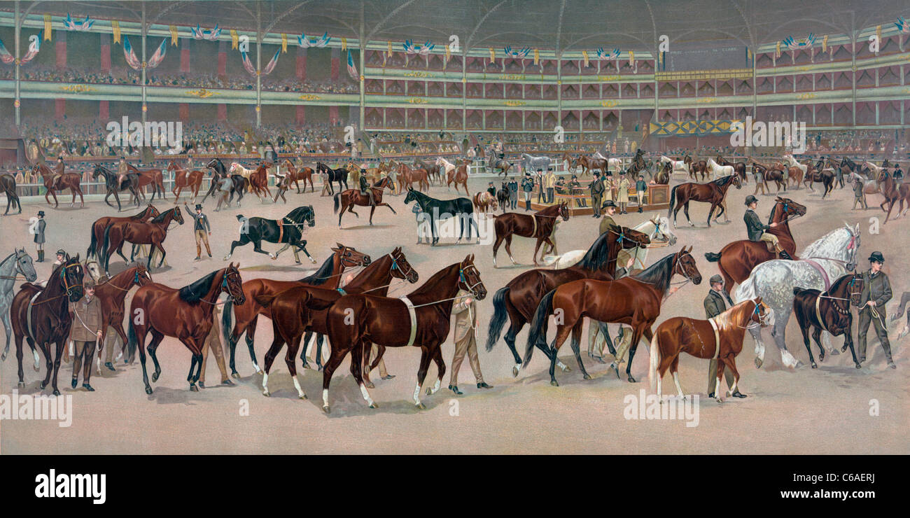 National horse show, parade of prize winners, 1896 Stock Photo