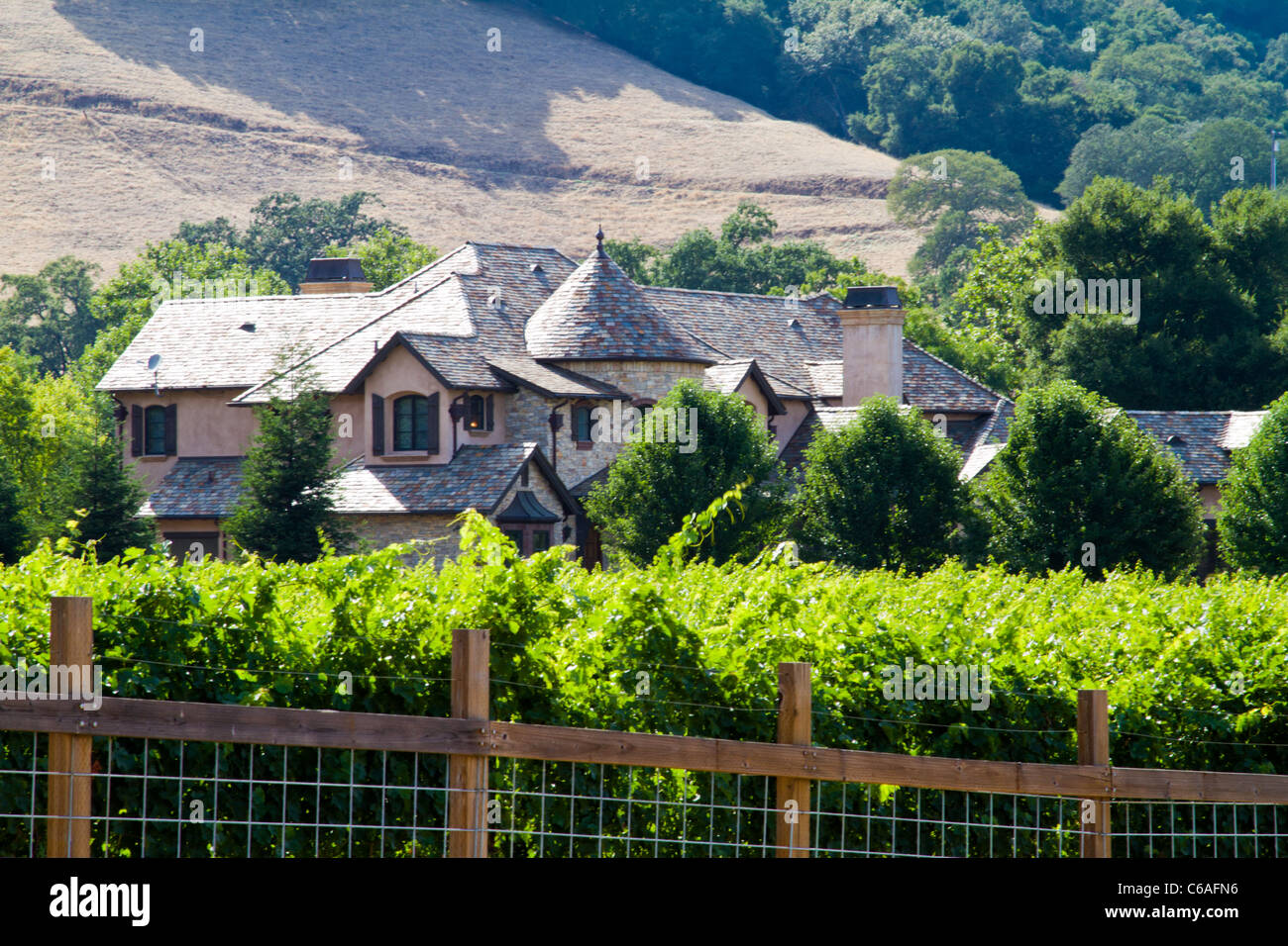 Large house and vineyard in Hill California Stock Photo Alamy