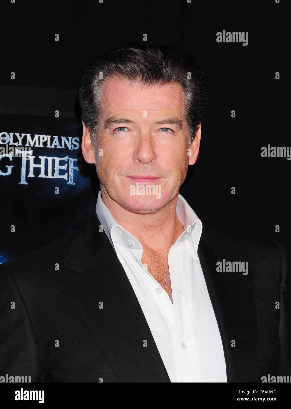 Pierce Jackson Pierce Brosnan at the premiere of 'Percy Jackson And The Olympians ...