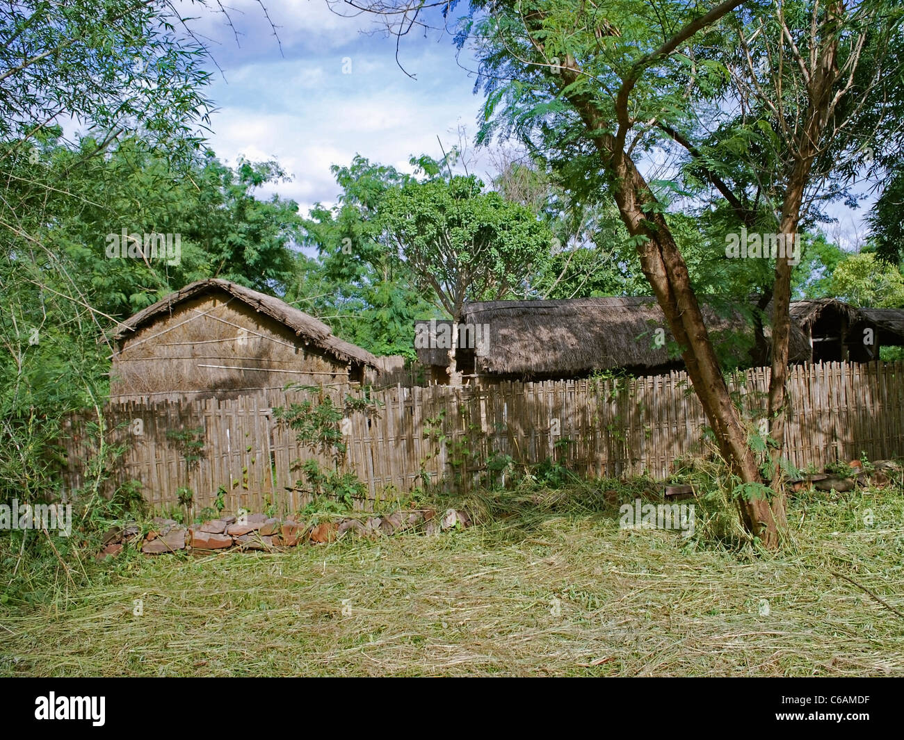 Bodo tribal hires stock photography and images Alamy