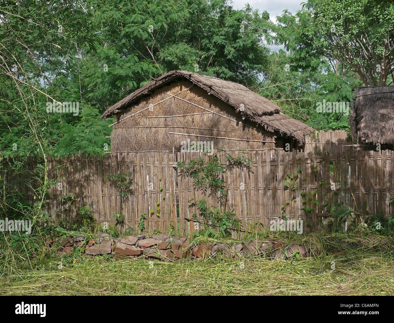 Bodo tribal hires stock photography and images Alamy