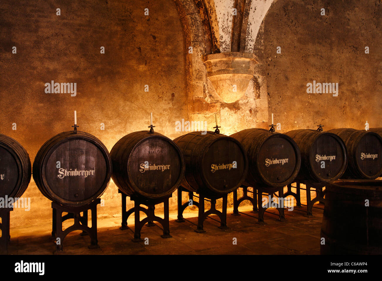 Wine cellar with barrels, Eberbach Abbey, Kloster  Eberbach, Hesse, Germany Stock Photo