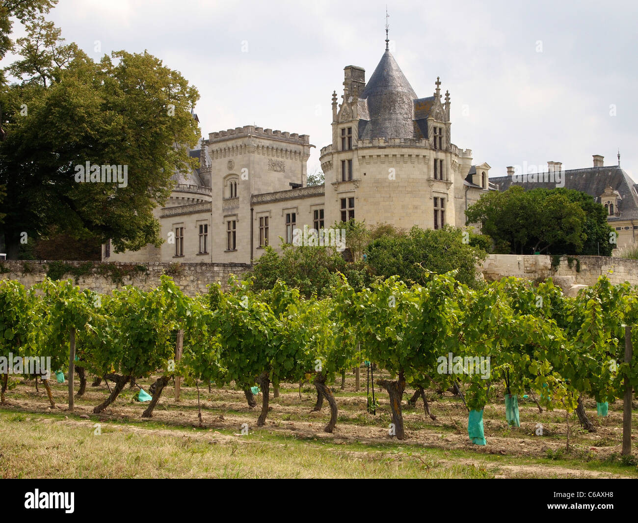 Chateau de Brézé with it's vineyards, producing great wines since the 16th century. Loire valley, France Stock Photo
