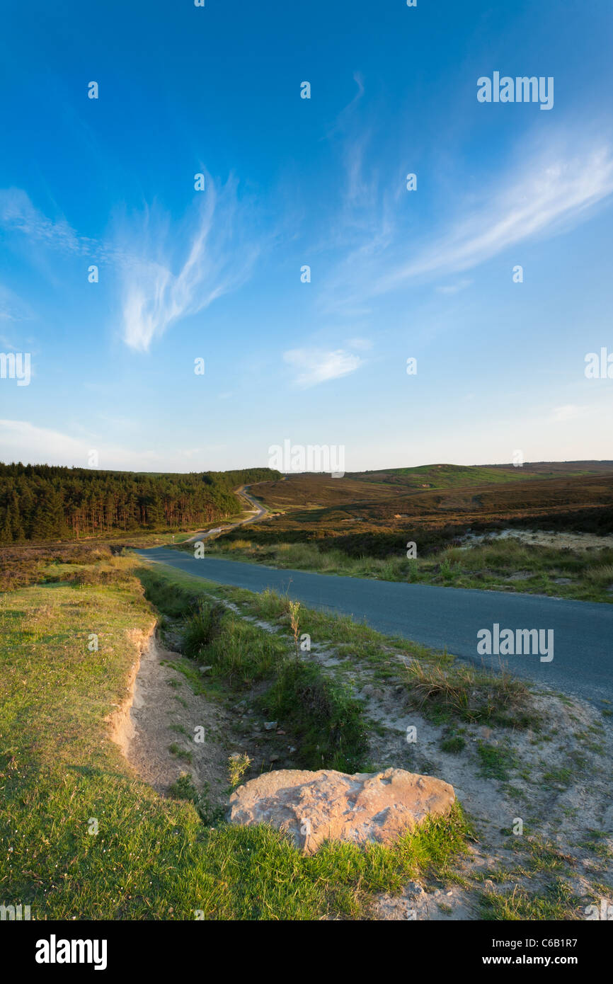 Keys Beck Road, Wheeldale Moor, North Yorkshire Stock Photo Alamy