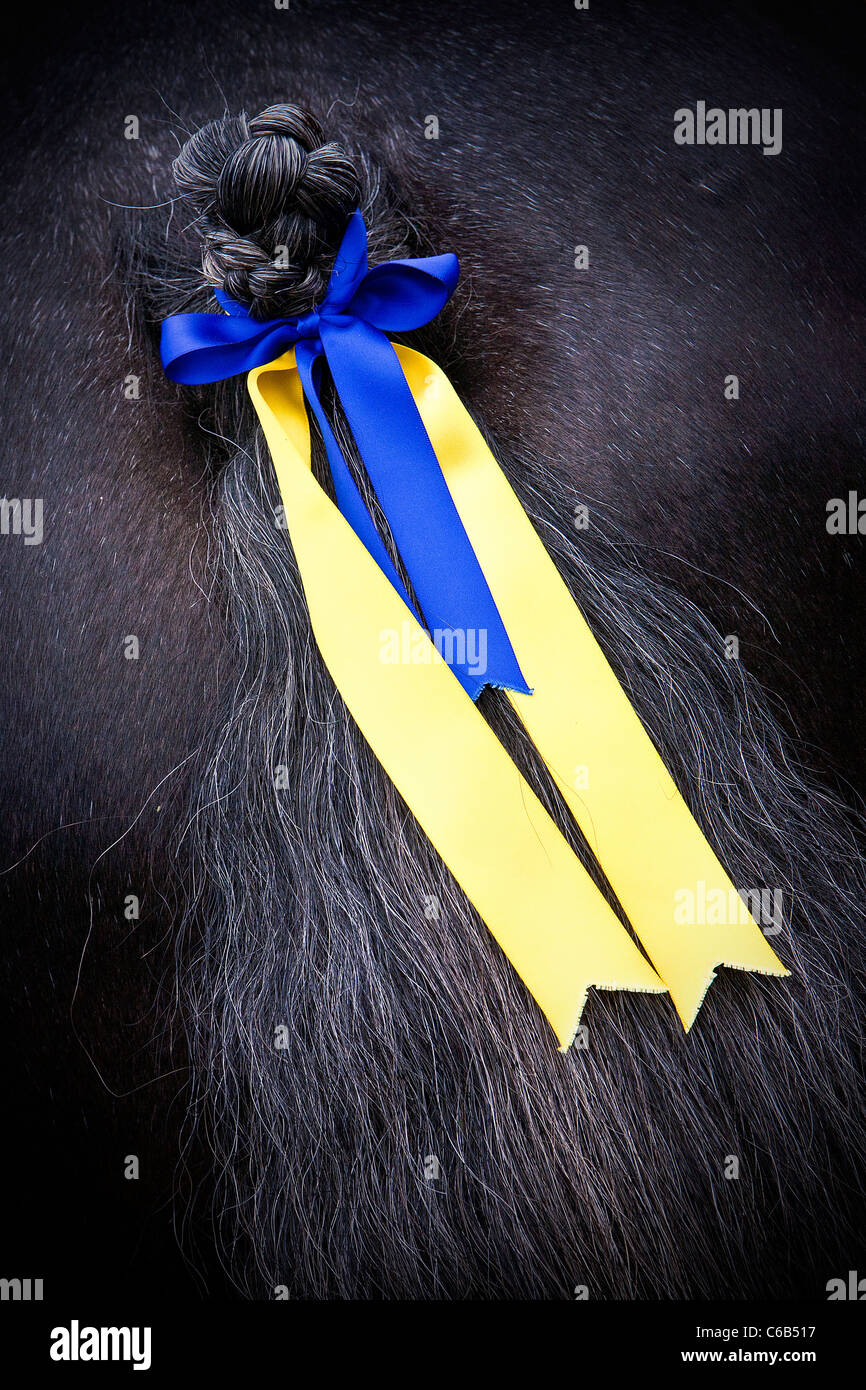 Horse tail braid hires stock photography and images Alamy