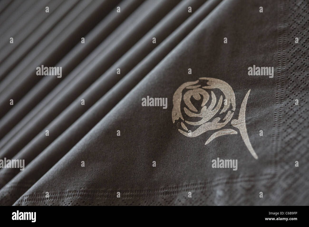 White Yorkshire Rose High Resolution Stock Photography And Images Alamy