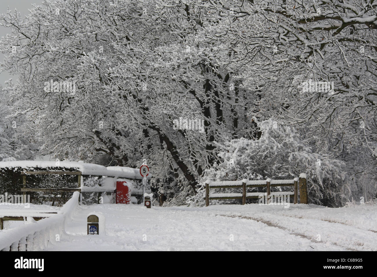 winter wonder land Stock Photo