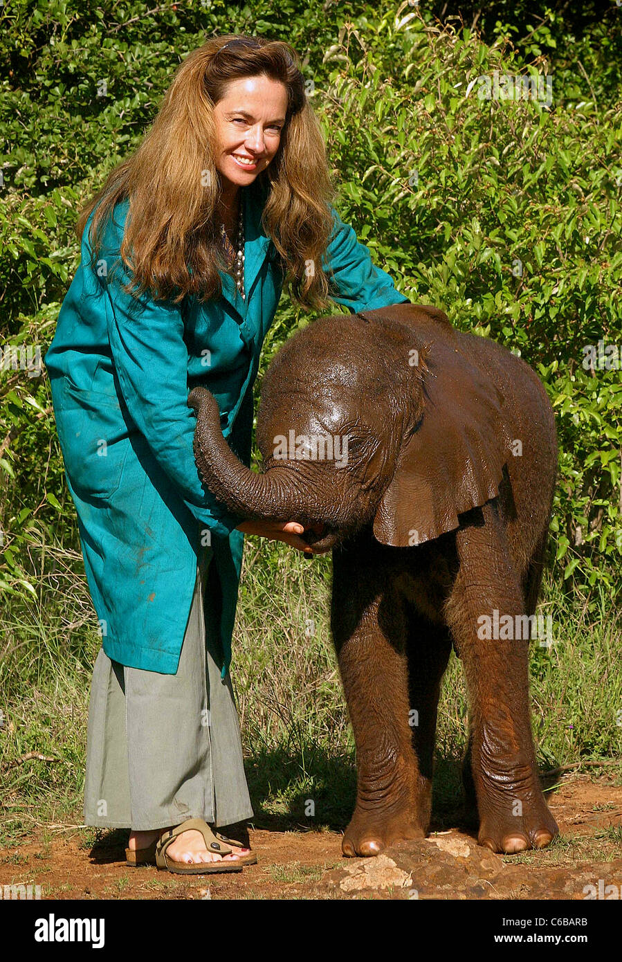 ORPHANED ELEPHANT WITH ANGELA SHELDRICK DAUGHTER OF DAME DAPHNE SHELDRICK Stock Photo