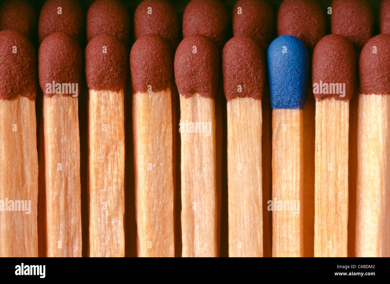 Extreme close-up of brown-tipped safety matches with one blue-tipped ...