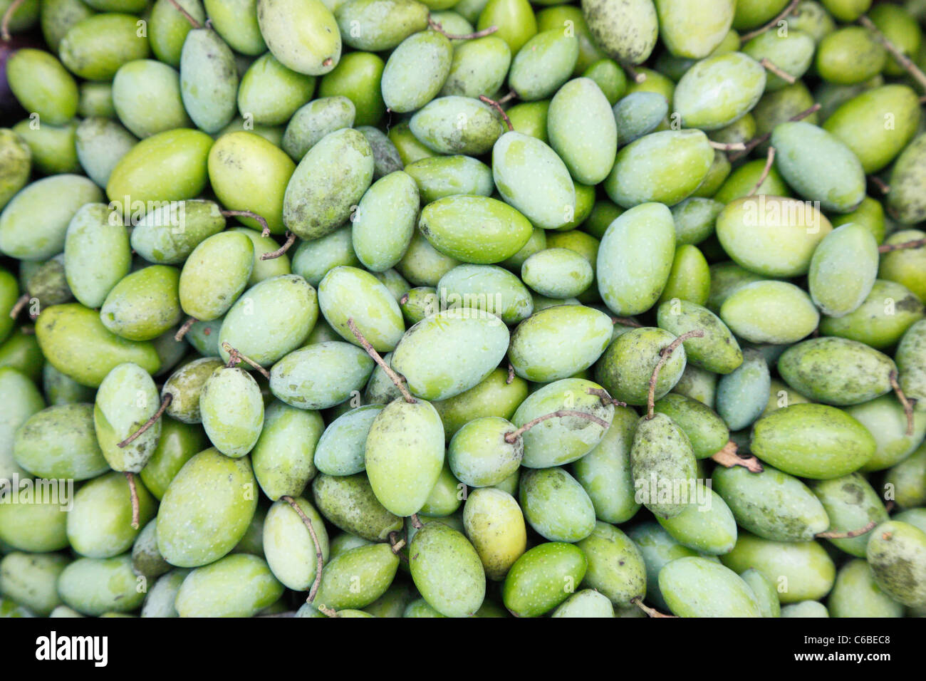 Green olive close up Stock Photo
