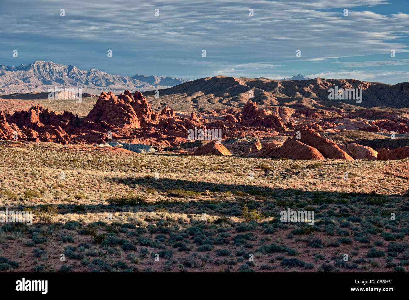 Morning light streams across the sagebrush and sandstone landscape of Nevada's Valley of Fire State Park. Stock Photo