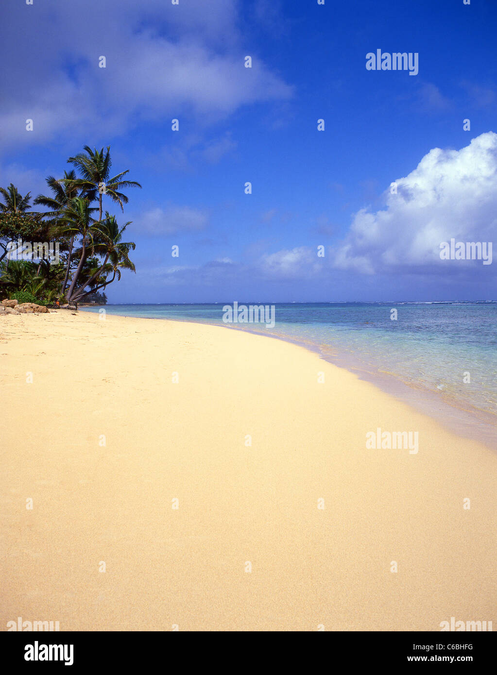 Tropical beach, North Shore, Oahu, Hawaii, United States of America Stock Photo