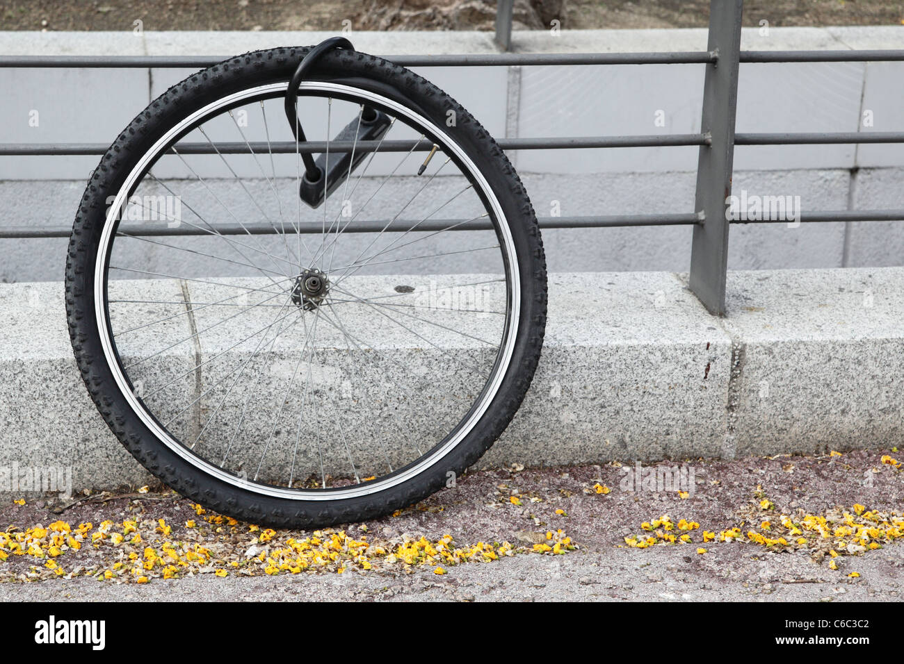 Wheel of stolen bicycle fasten to metal fence Stock Photo