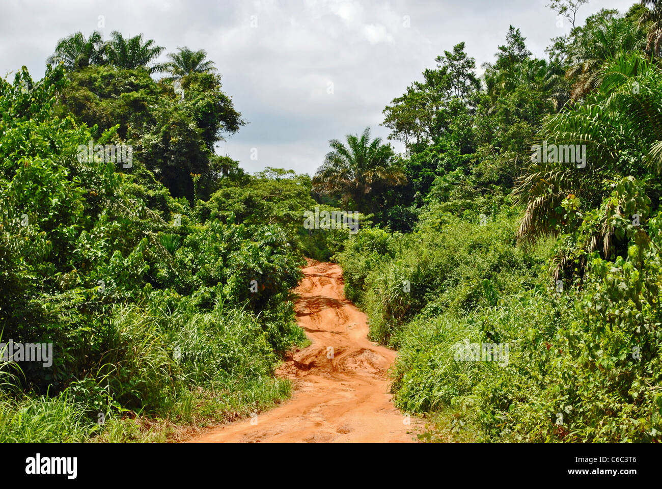 Road through the bush near Kolahun, Liberia Stock Photo Alamy