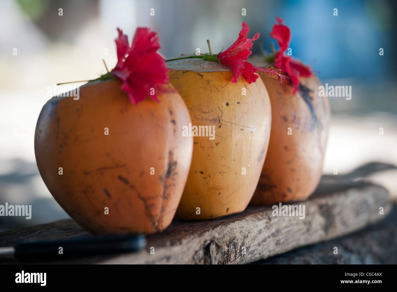 Fresh Coconut Milk Cocktails on a Beach Market Stall, Beau Vallon Beach