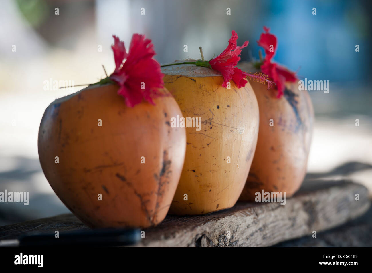 Fresh Coconut Milk Cocktails on a Beach Market Stall, Beau Vallon Beach