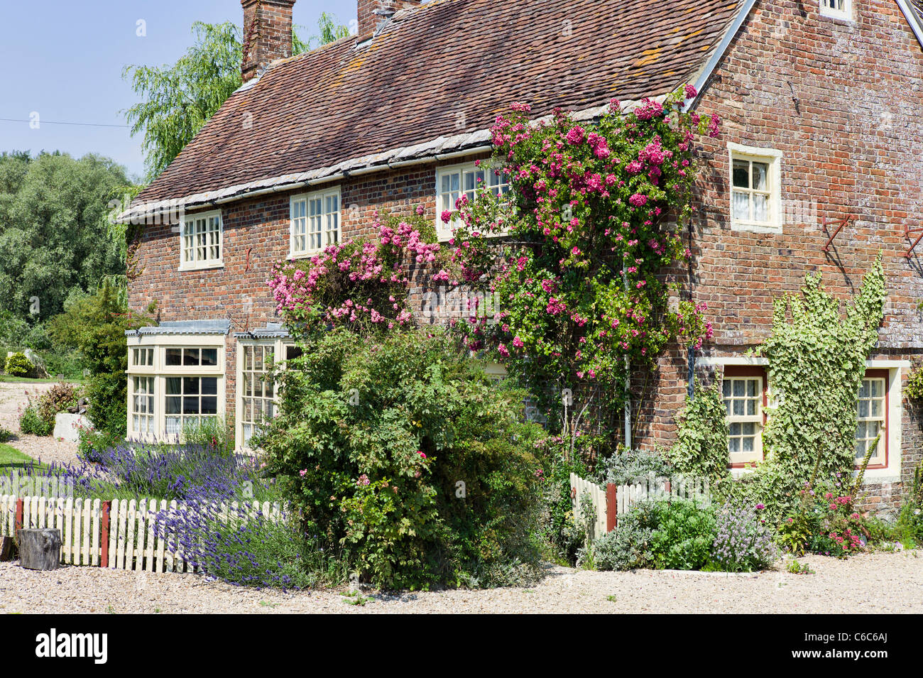 English country cottage with climbing roses Stock Photo