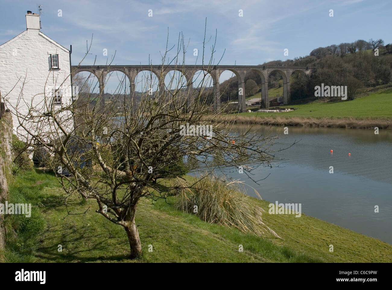 River Tamar & Viaduct Calstock, Cornwall, England Stock Photo Alamy