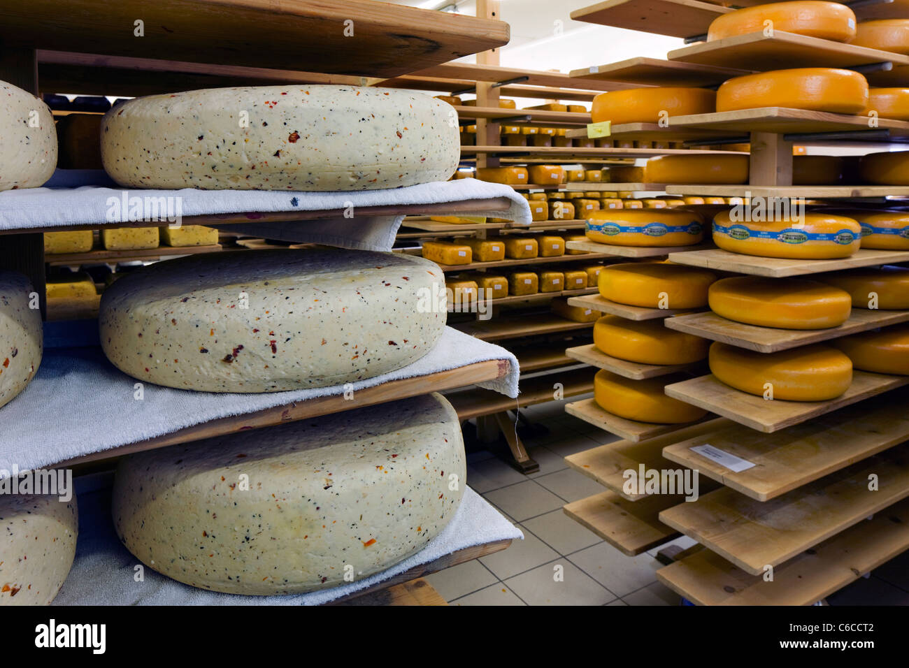 Cheeses in dairy storage room of the Beauvoordse Walhoeve, Veurne, Belgium Stock Photo