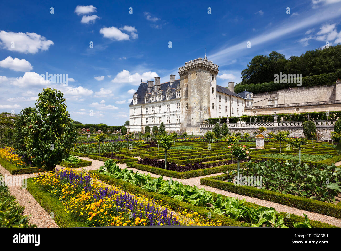 Gardens and french chateau at Villandry, Indre et Loire, France, Europe Stock Photo