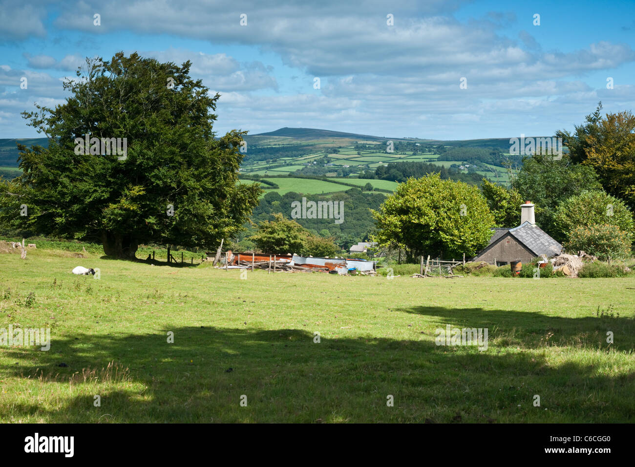 Landscape of a small farm on Dartmoor in Devon with rolling hills in the background - longshot Stock Photo