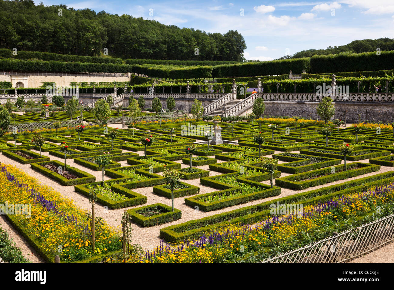Villandry gardens, Indre et Loire, France, Europe Stock Photo
