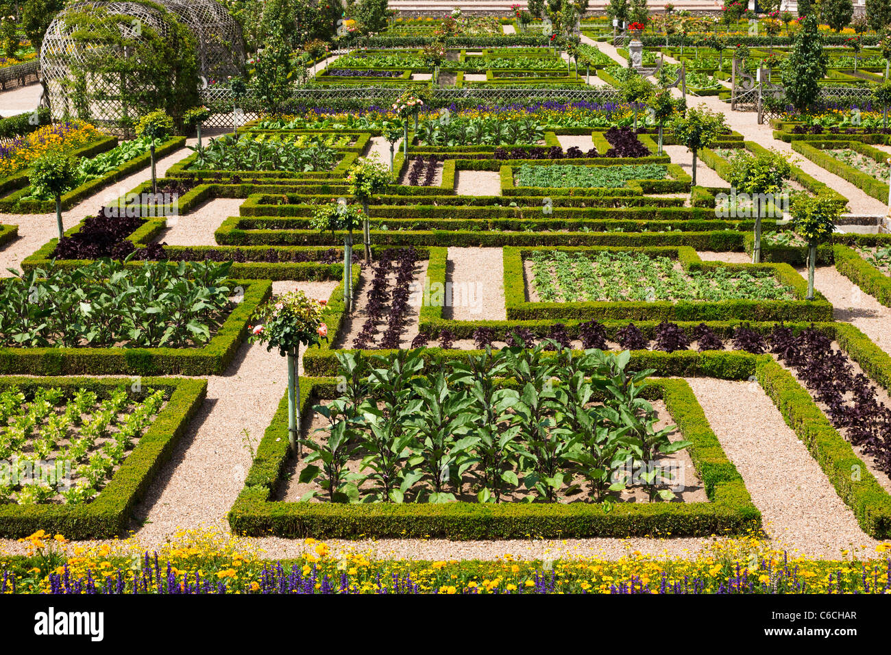 Formal garden, landscaped gardens at Villandry, Loire Valley, Indre et Loire, France, Europe Stock Photo