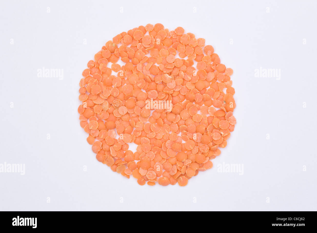 Lens culinaris. Red lentils on a white background. Stock Photo
