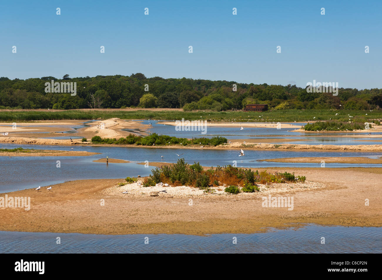 A view from a hide at Minsmere bird reserve , Suffolk , England , Britain , Uk Stock Photo