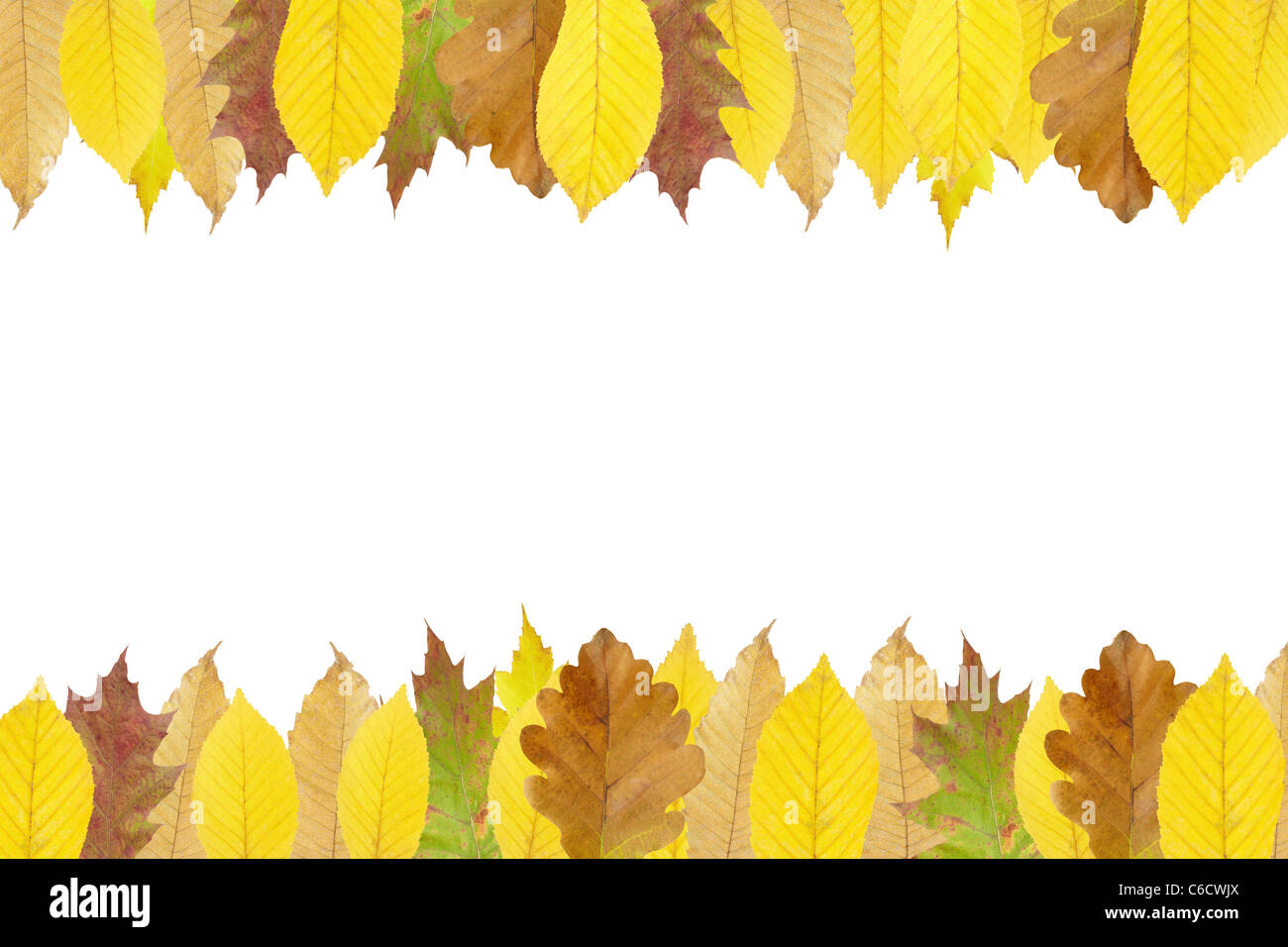 Autumn leaves frame isolated on white background Stock Photo