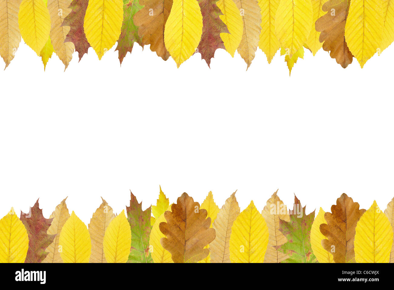 Autumn leaves frame isolated on white background Stock Photo - Alamy