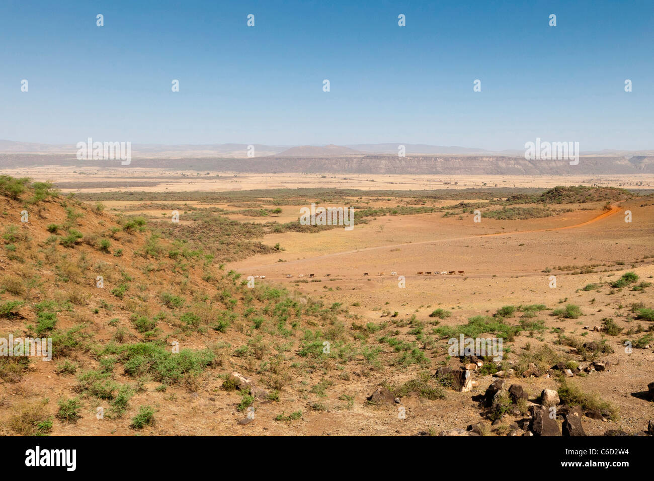 Landscape of the Great Rift Valley near Nazret in Eastern Ethiopia, Africa. Stock Photo